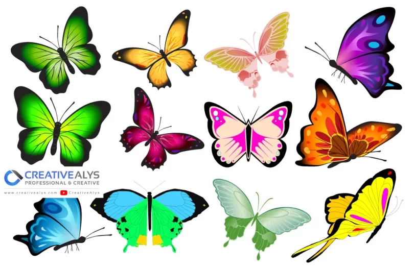 Vector Butterfly Collection