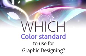 Which Color standard to use for Graphic Designing?