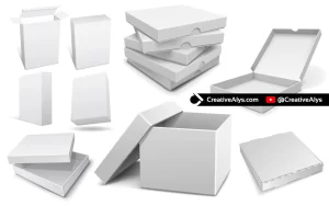 3D Packaging Vector Boxes