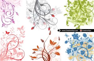 Beautiful Flowers for Your Designs