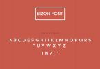 bizon_font_preview