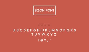 Bizon Modern Font
