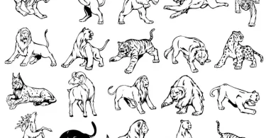 animal-mascots-vector-collection