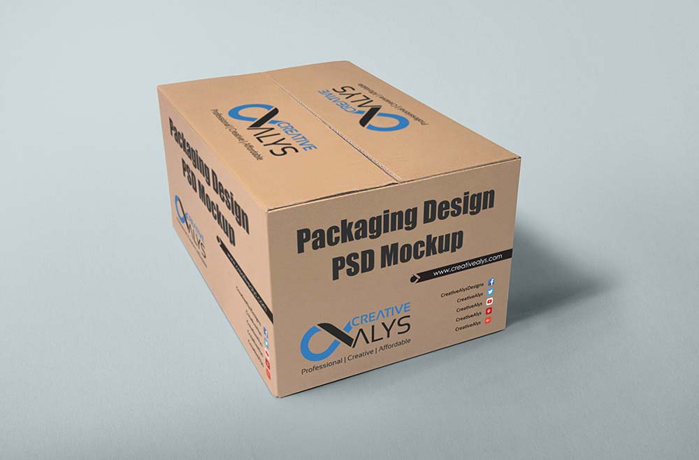 Carton Packaging Design PSD Mockup - Creative Alys