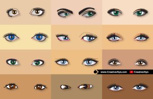 Human Eyes Vector Collection