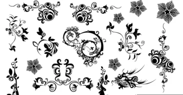 Beautiful-Vector-Swirls-Florals