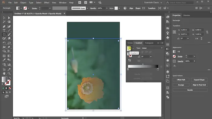 Apply a Black-to-White Gradient to the Shape