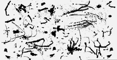 Free Vector Ink Splatters and Paint Drips