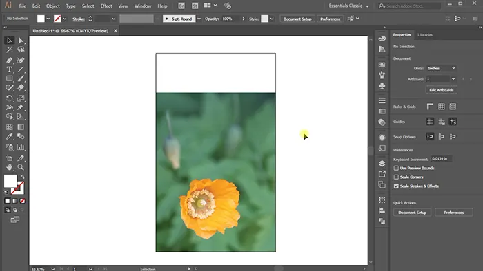 Place Your Image on the Artboard for Fading
