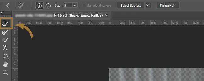 Quick Selection Tool in Photoshop
