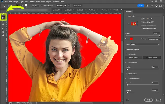 Refine Edge Brush Tool in Photoshop Select and Mask