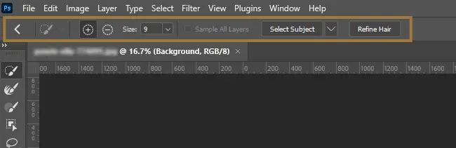 Top Options Bar in Select and Mask window in Photoshop