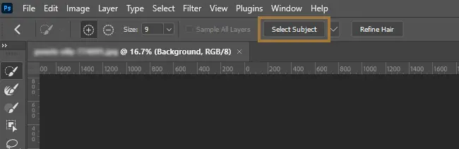Select Subject in Photoshop